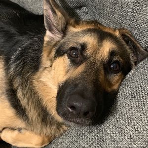 Meet your Posher, Kate